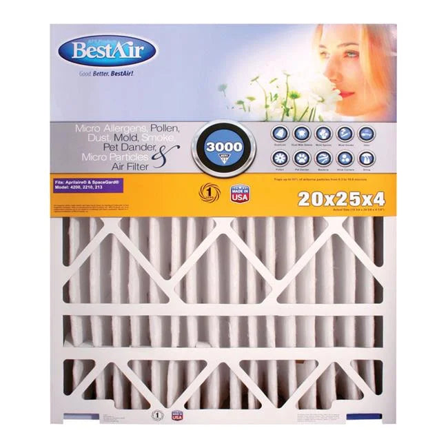 25 Air of x x 20 Pleated pack Filter- 4 in. 2