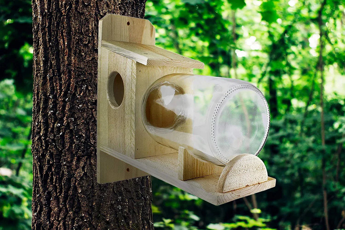 Jar); Food Uncle Squirrel Backyard Rustic Squirrel (w/ Feeder Gallon Glass Handmade Box Dunkels