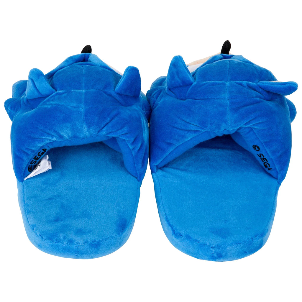 Hedgehog: Sonic Sonic Slippers the Head