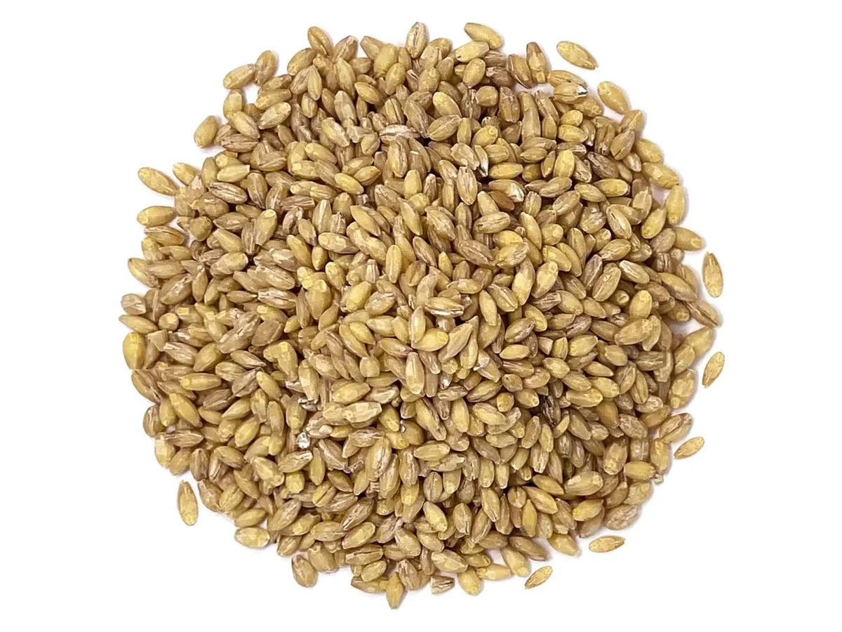 Non-GMO, Grain, – to 2 Kosher, Organic – the USA by Food Raw, Pounds Hulled Bulk Live of Product Barley,