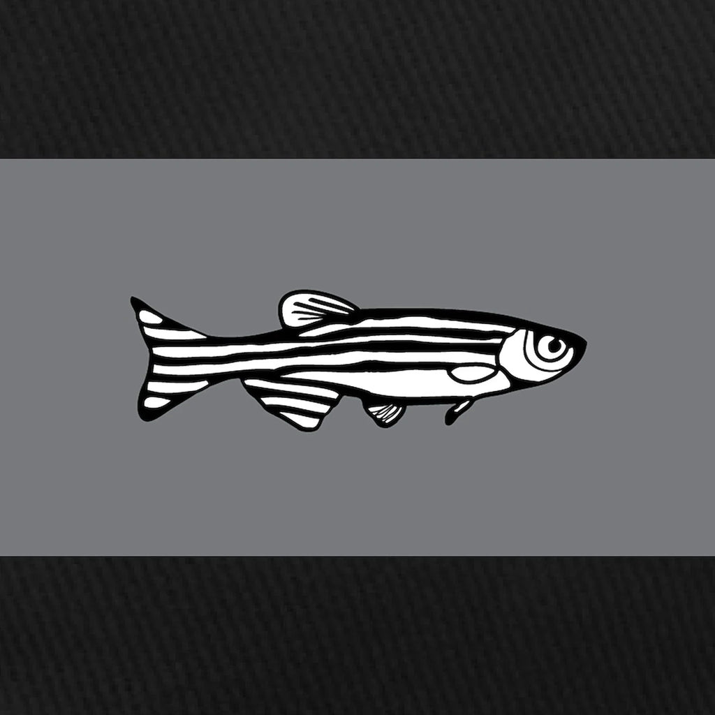 CafePress Adjustable - Black Baseball Hat Cap Zebrafish Cotton Printed - Black Canvas