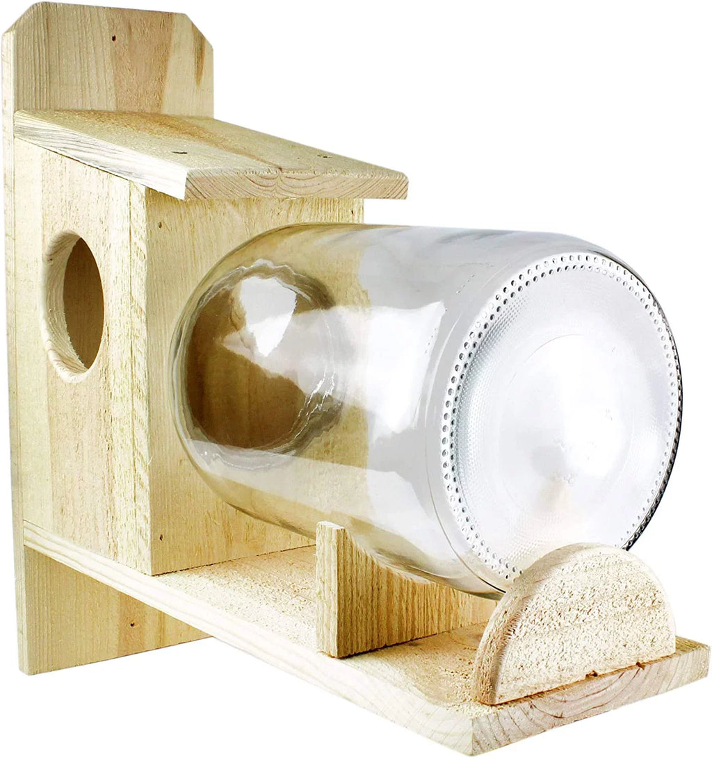 Jar); Food Uncle Squirrel Backyard Rustic Squirrel (w/ Feeder Gallon Glass Handmade Box Dunkels