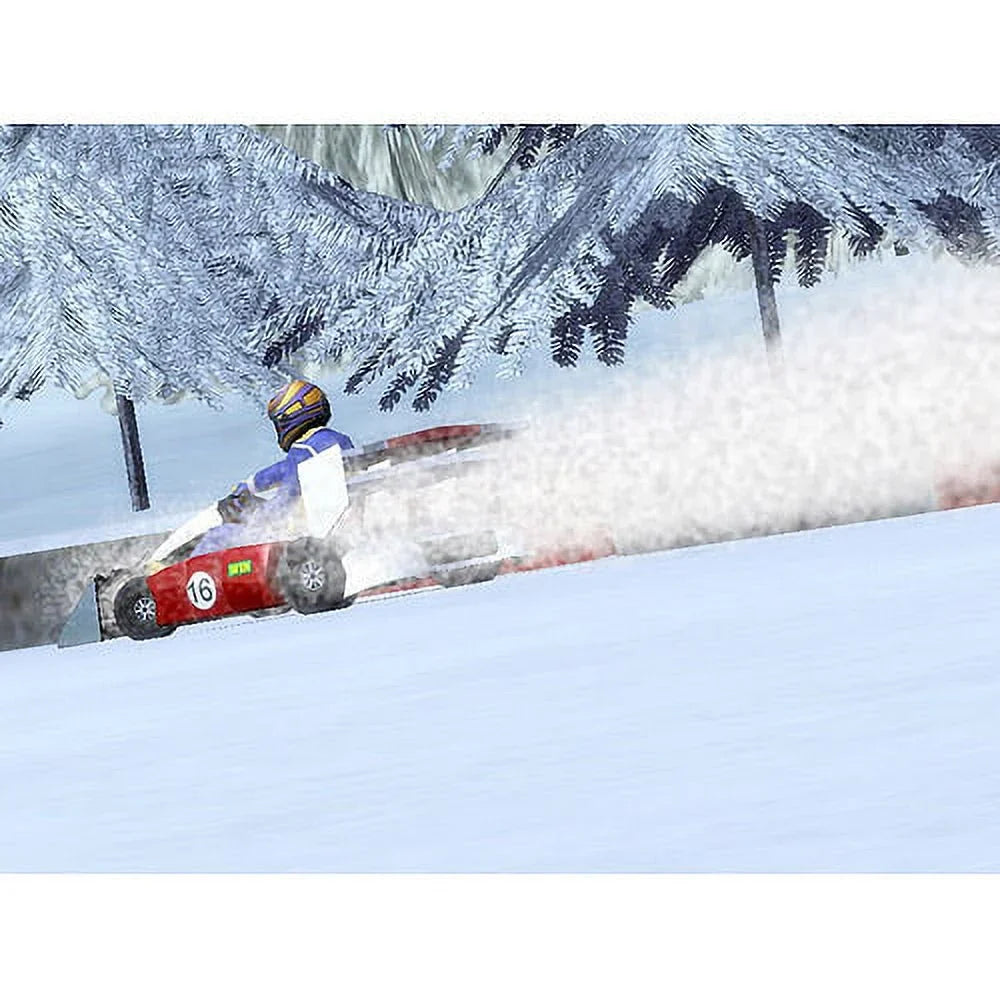Racer - Nintendo Kart Wii