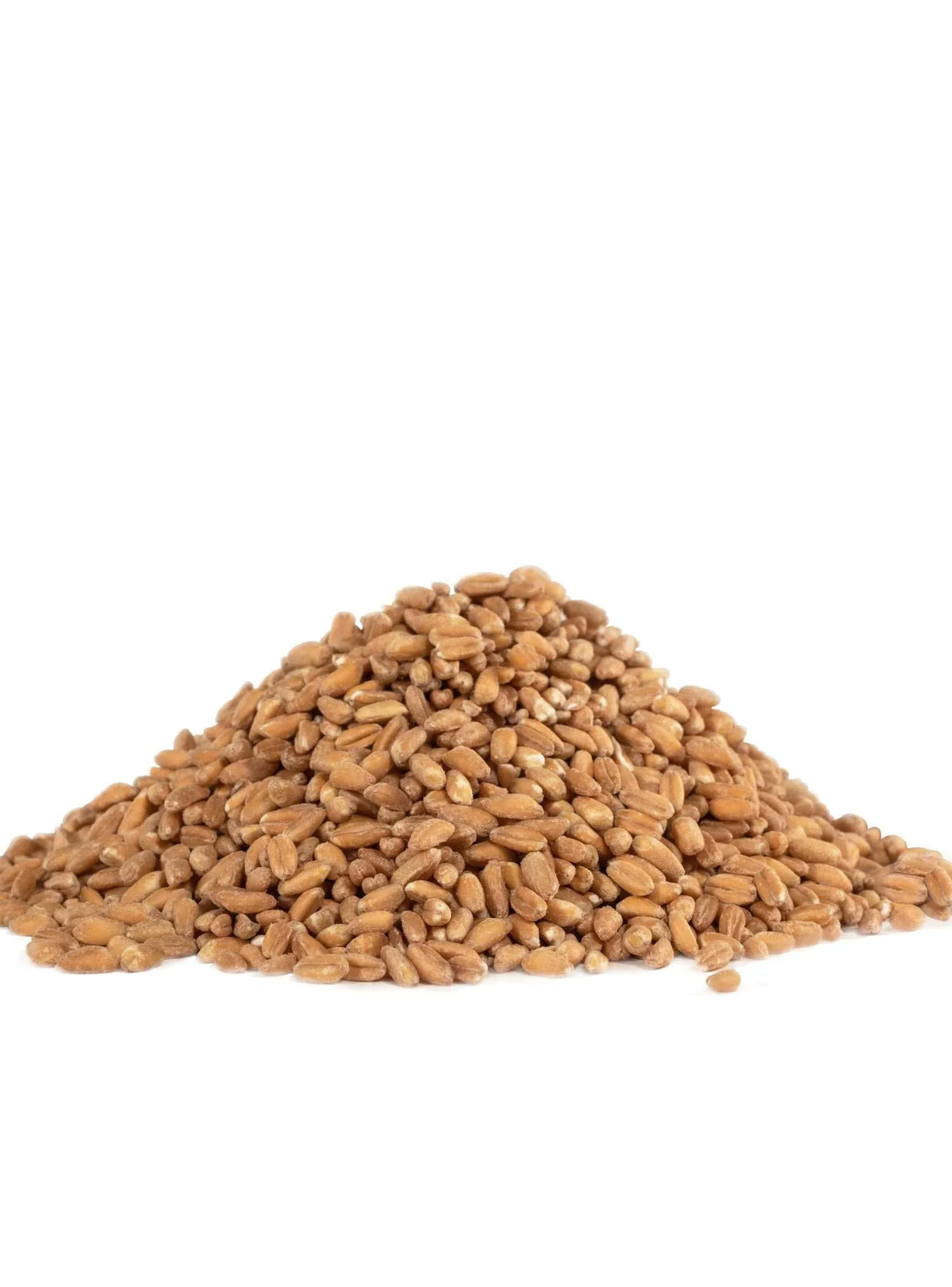 Organic 4) Grain, 24 Mill Ounce Farro Red (Pack of Bob's