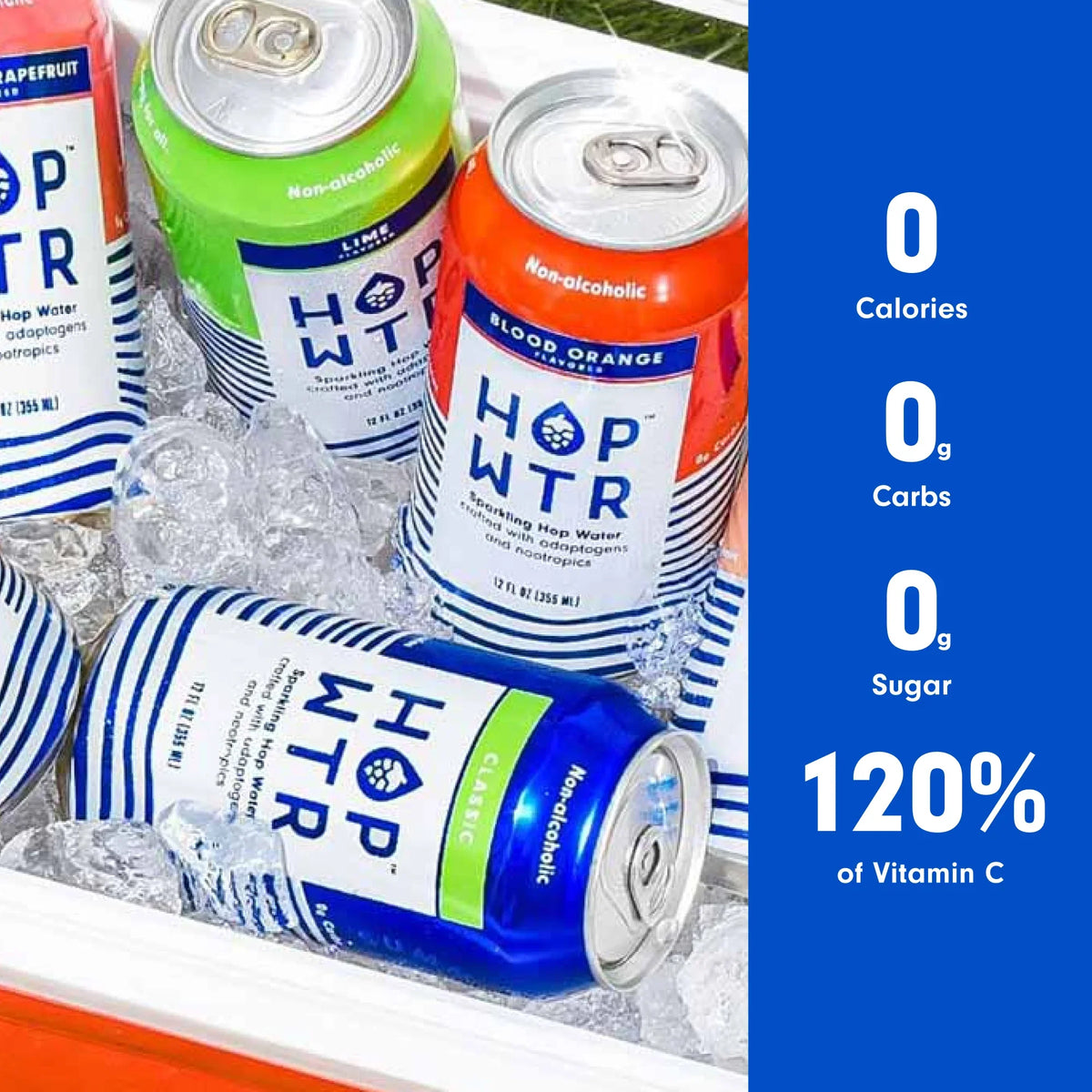 WTR VARIETY 2 PK, Pack of 12 FLAVR WTR HOP 4
