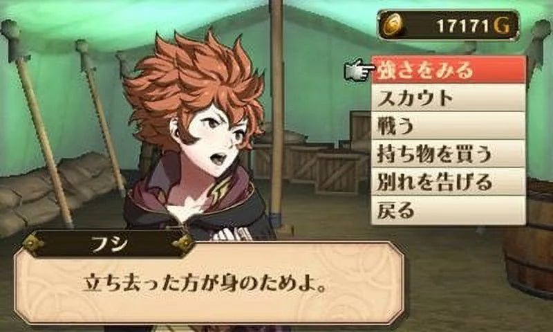 Fire 045496742355 Emblem Nintendo Nintendo Awakening 3DS