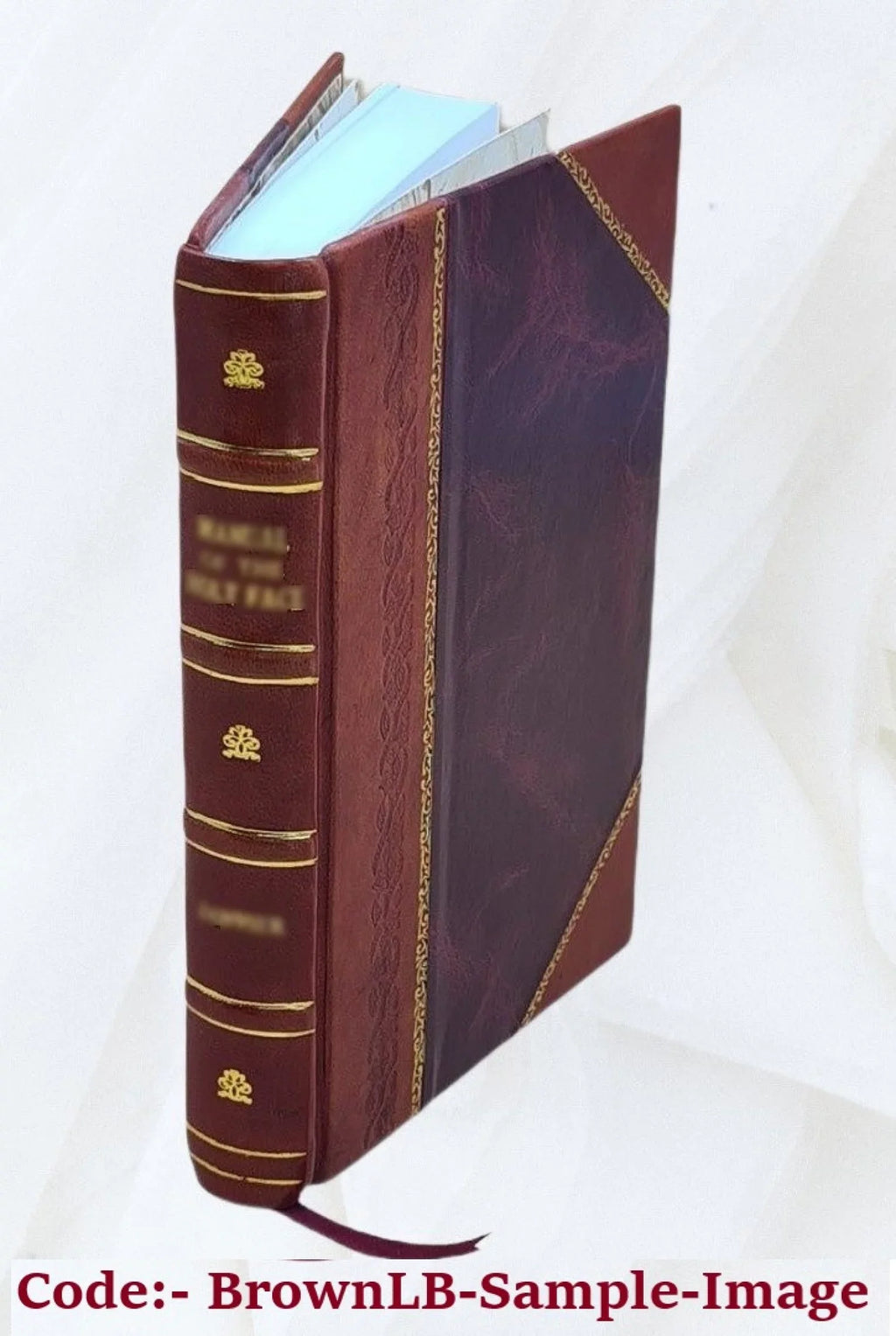 Président 18 1824 Mémoires Bound] du [Leather Louis-Jérome brumaire. Directoire de Gohier, au Volume v.2