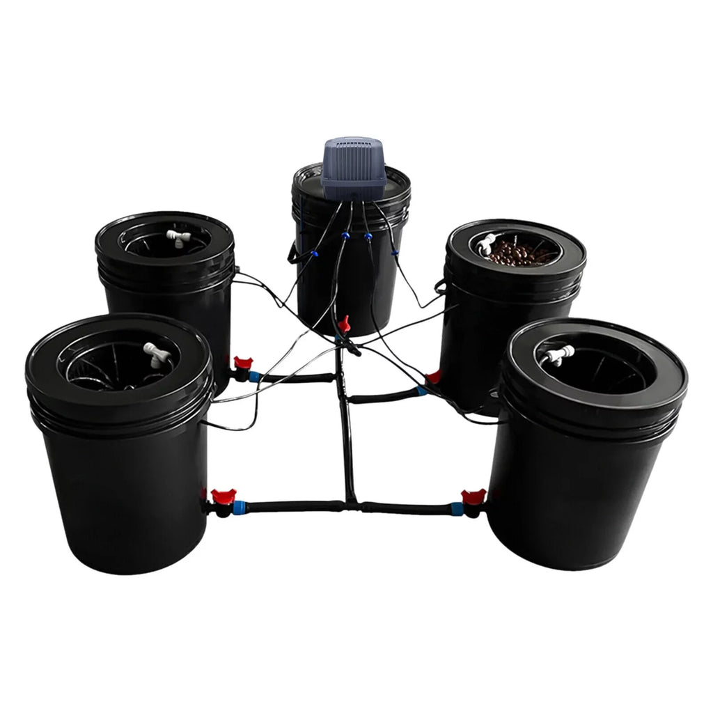 Hydroponic System Growing Hydroponics Hydroponics Gardening System Gallon Vegetables Bucket Miumaeov System for 5 Kit System Growing