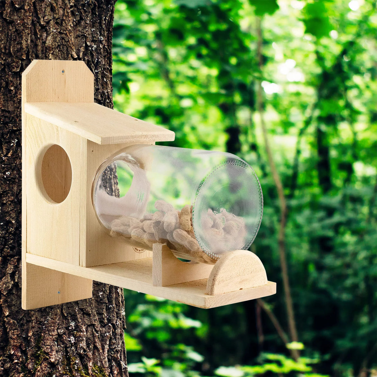 Jar); Food Uncle Squirrel Backyard Rustic Squirrel (w/ Feeder Gallon Glass Handmade Box Dunkels