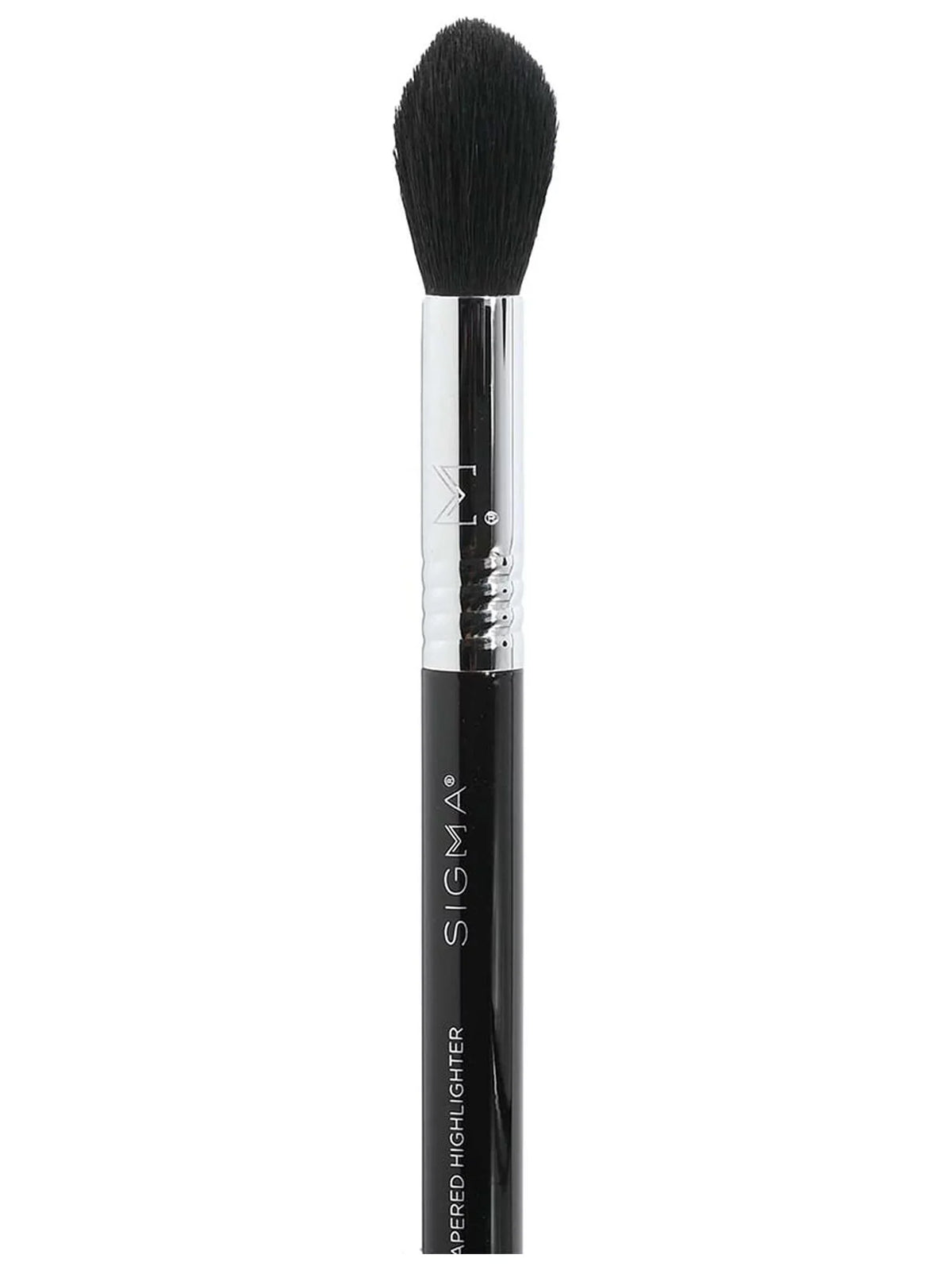 F35 Sigma Tapered Brush Beauty - Highlighter